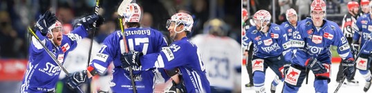 Player of Schwenninger Wild Wings on the ice