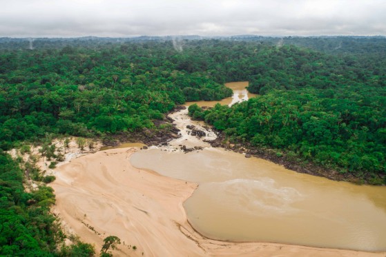 skovbeskyttelse i Brasilien GLS