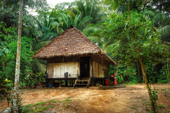 Forest Protection in Pacajá, Brazil