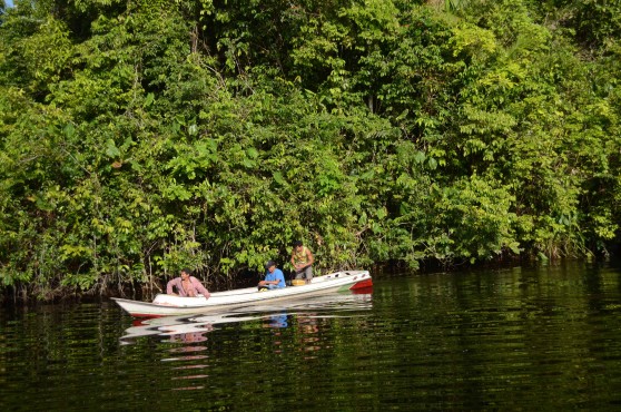 Forest Protection in Madre de Dios, Peru